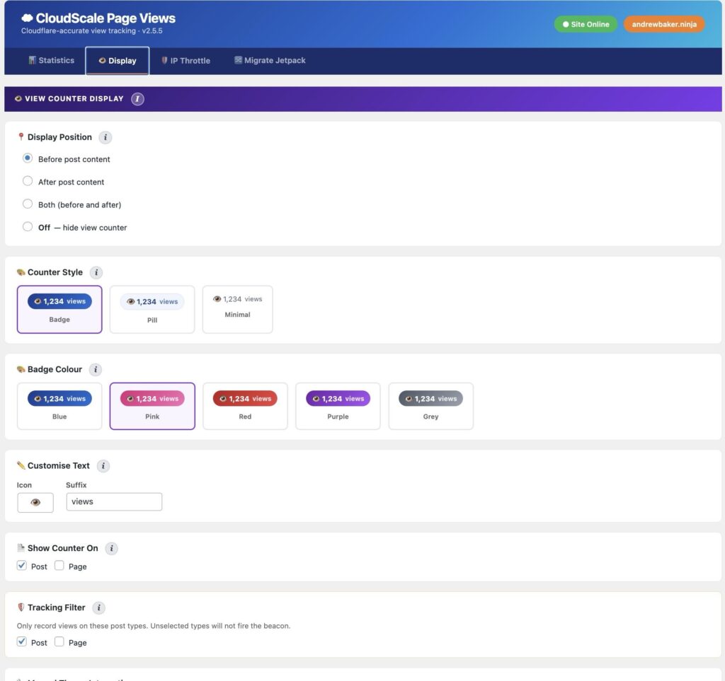 WordPress page view counter display widget on frontend