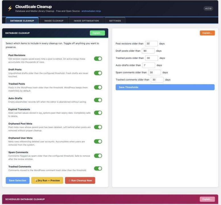 WordPress database cleanup plugin interface showing cleanup options