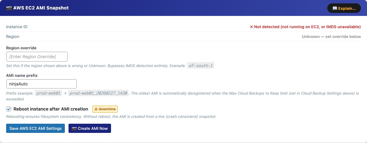 AWS EC2 AMI Snapshot