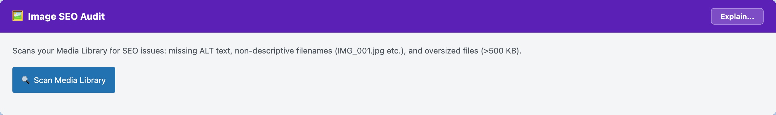 CloudScale SEO AI Optimizer — Image SEO Audit feature screenshot
