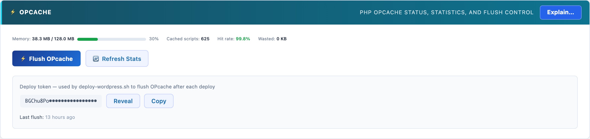 PHP OPcache status monitor showing memory usage, hit rate and cached script count in WordPress admin