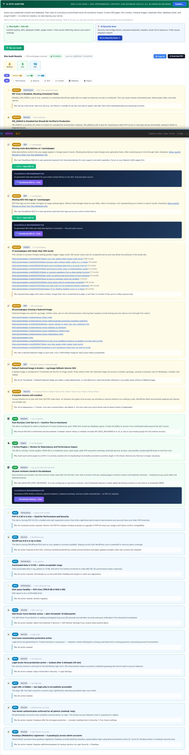 WordPress AI site auditor scanning SEO, content, performance, and database health with prioritised findings
