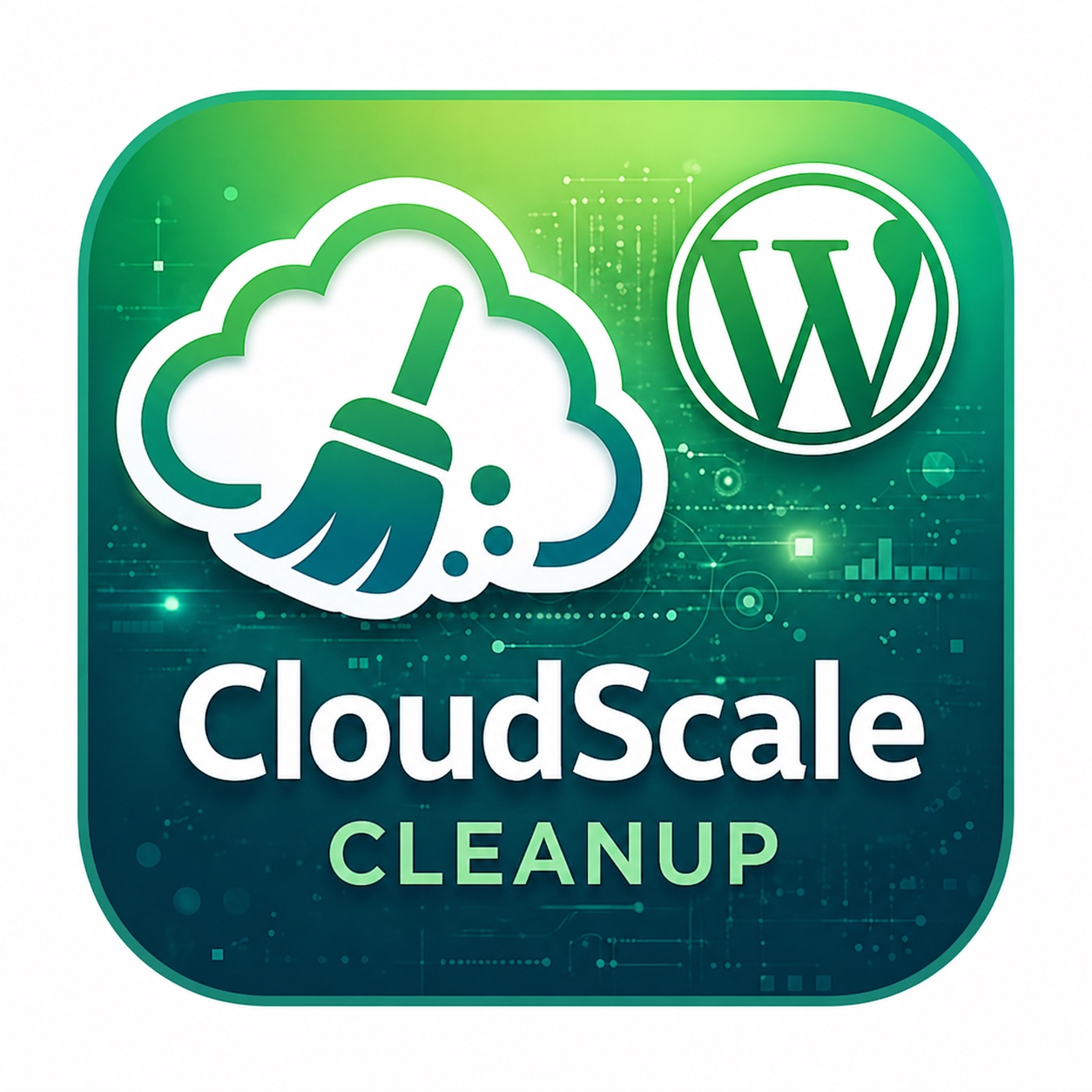 CloudScale Cleanup plugin interface in WordPress dashboard