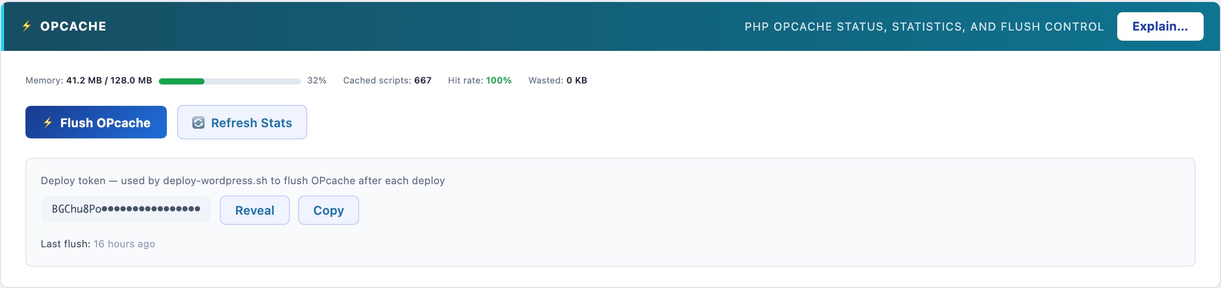 PHP OPcache status monitor showing memory usage, hit rate and cached script count in WordPress admin