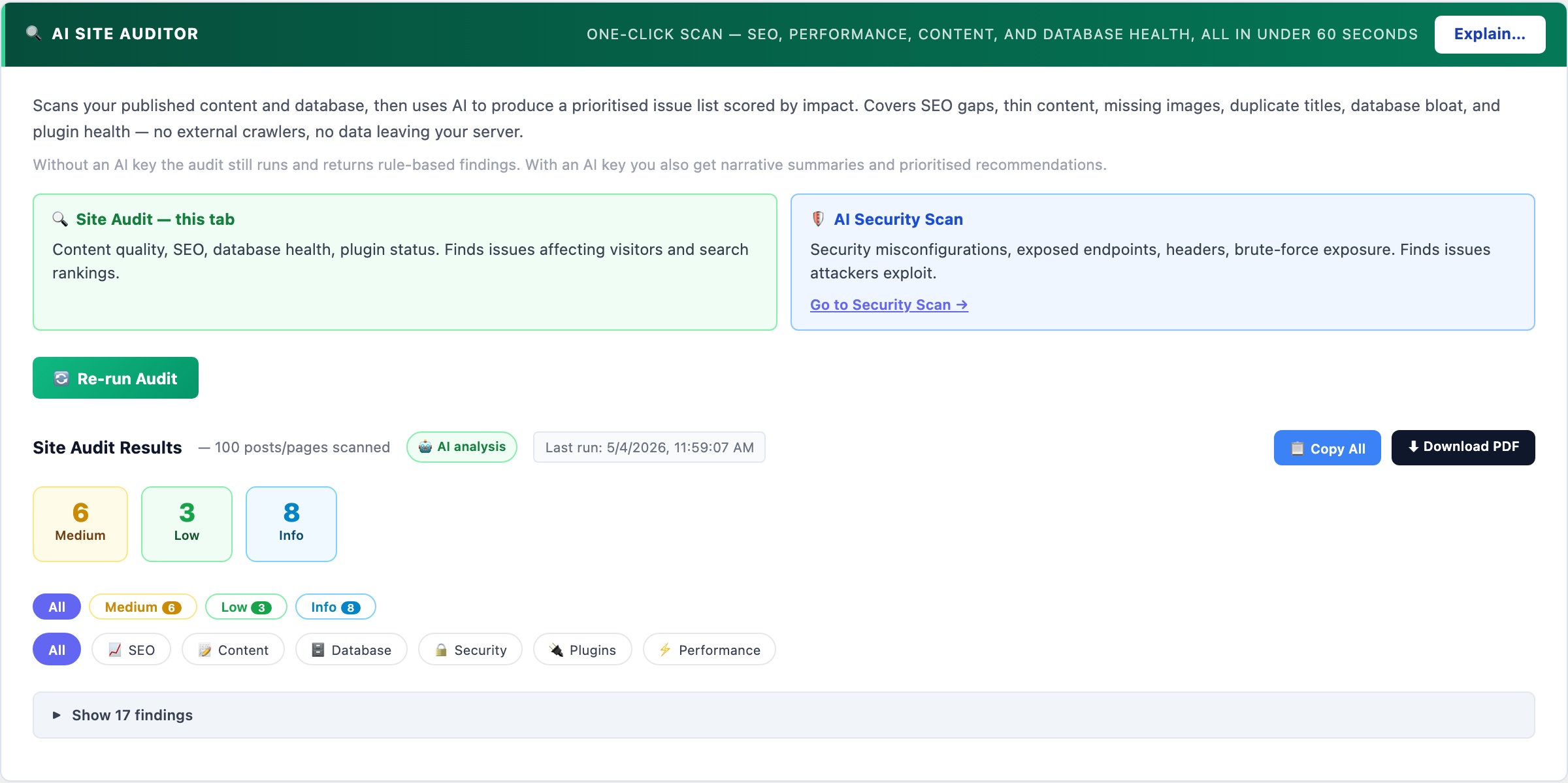 WordPress AI site auditor scanning SEO, content, performance, and database health with prioritised findings