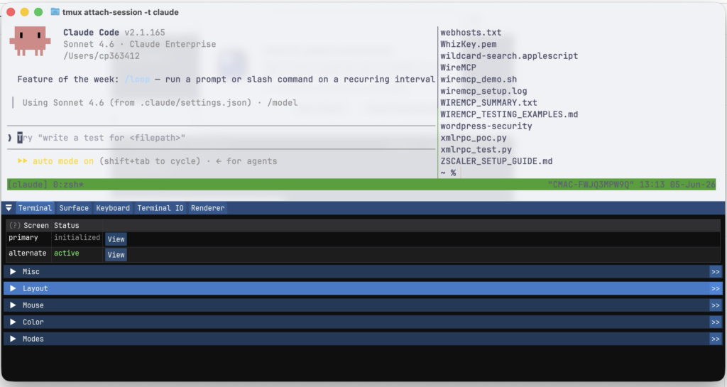 Ghostty terminal split pane layout configured for Claude Code agentic workflow