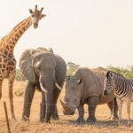 AI and Organisational Design: When Capability No Longer Belongs to the Org Chart